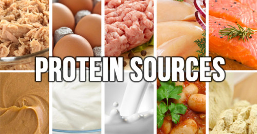 10 Top Affordable Protein Sources