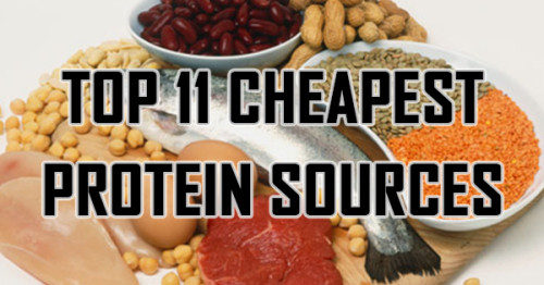 Top 11 Cheapest Protein Sources
