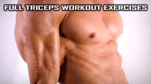 Full Triceps Workout exercises