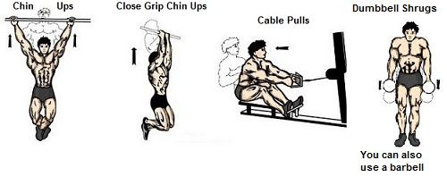 Chin ups Close grip chin ups close handed cable pulls dumbbell shrugsback exercise muscle bodybuilding