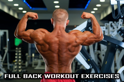 Full Back Workout exercises