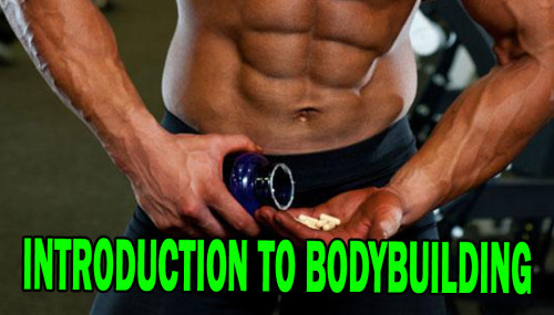 INTRODUCTION TO BODYBUILDING