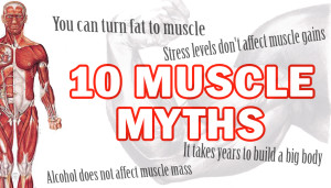 10 Muscle Myths