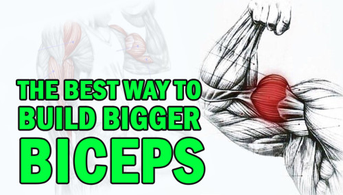 The Best Way To Build Bigger Biceps