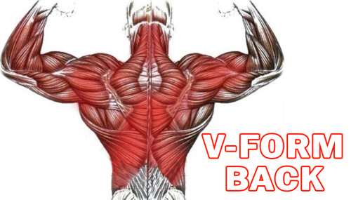 V-Form Back Workout