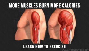 More Muscles Burn More Calories! Learn How To Exercise