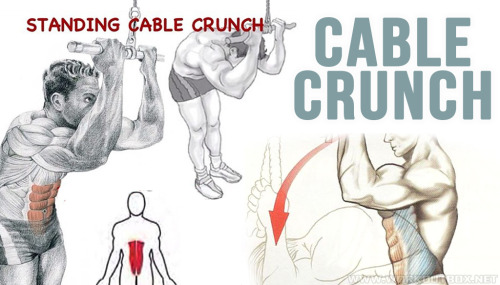 How To Standing Cable Crunch