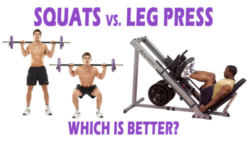 Squats Vs. Leg Press: Which is Better?