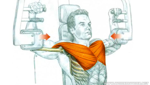 Chest Exercise at the Butterfly Machine