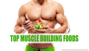 Top Muscle Building Foods