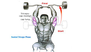 How To Seated Triceps Press