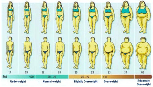 Are You Overweight?