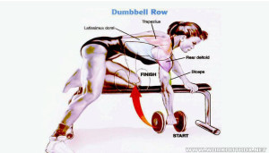 How To Dumbbell Row