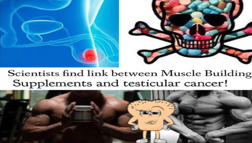 Scientists Find Link Between Muscle-building Supplements and Testicular Cancer