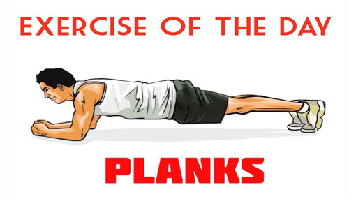 Exercise Of The Day: PLANKS