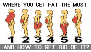 Where You Get Fat The Most