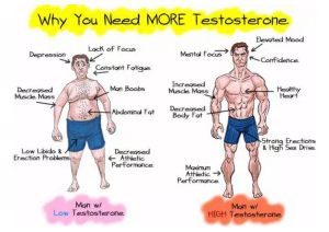 Natural Ways To Increase Testosterone Levels