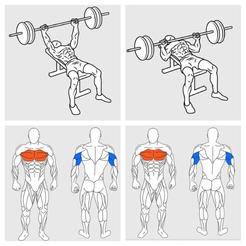 Bench Press Chest Workout