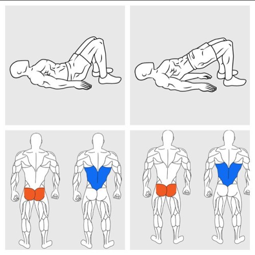 Hip Raises Sixpack And Low Back Workout
