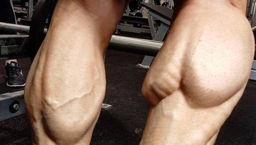 The Best Calf-Building Tips