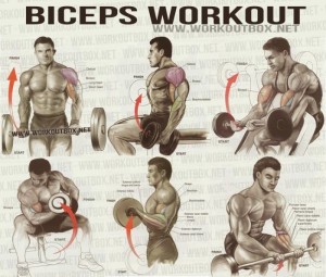 Exercises for Best Biceps Workout
