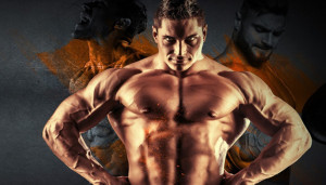 How To Find The Best Bodybuilding Training Program For You!