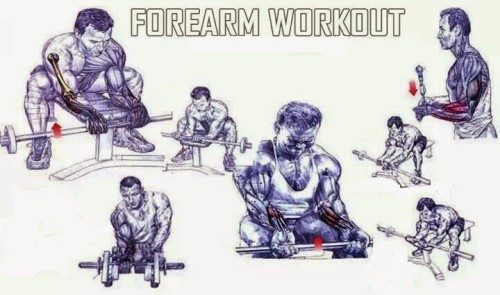 How To Get Killer Forearms