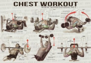 5 Exercises to Build Chest Muscle Fast