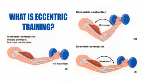 What is Eccentric Training?