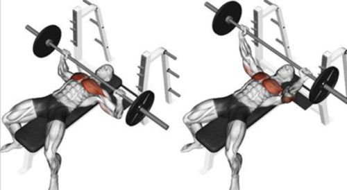 Bench Press | How To Increase Your 1 Rep Max