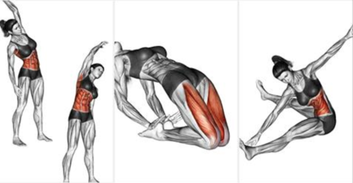 The Best Stretching Exercises To Enhance Your Lifiting