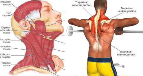 2 Simple Exercises to Boost Neck Strength