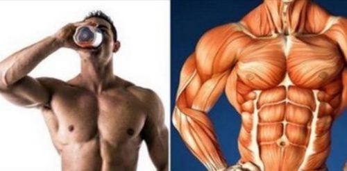 4 Best Supplements For Improving Muscle Gains