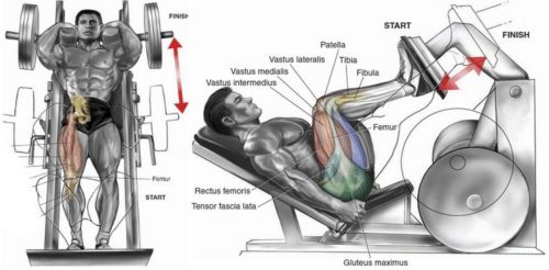 The 4 Best Leg Machine Exercises