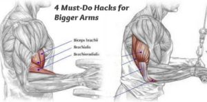 4 Must-Do Hacks for Bigger Arms!!!