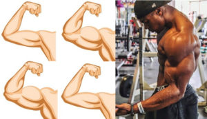 Build Arm Muscle With These 4 Tips For Killer Arms