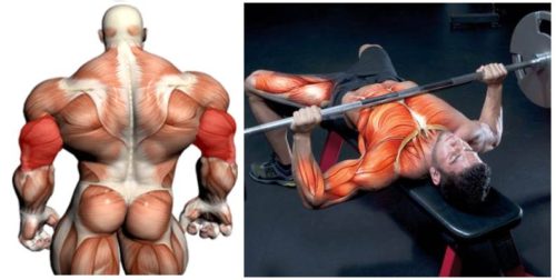 4 Ways to Boost Your Bench Press Max