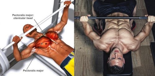 7 Reasons Why Your Bench Press Is Weak