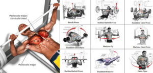 A Sample Chest Workout Routine