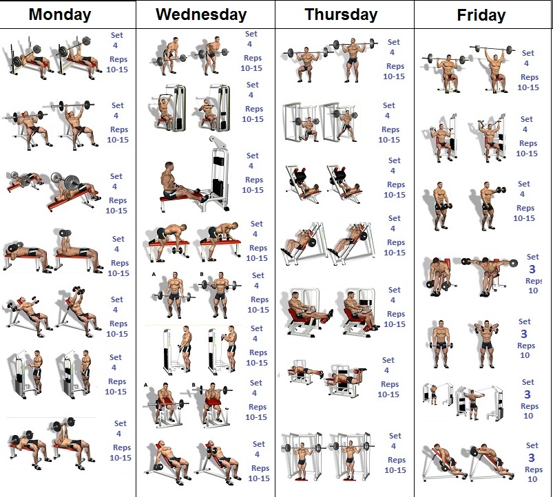 A Simple and Effective Muscle Building Schedule Fitness Workouts 
