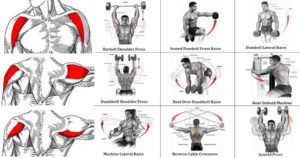 The Most Effective Shoulder Exercise