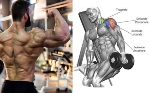 The Only 3 Exercises You Need To Do To Develop Monstrous Delts