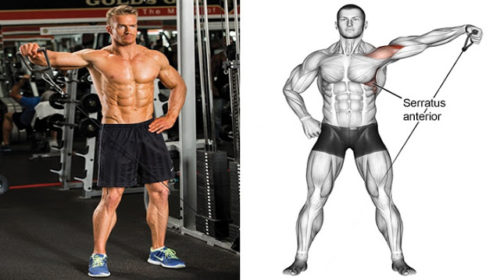 Get Yourself Shredded With These 5 Cable Machine Exercises