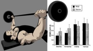 Gain Chest Mass And Boost Your Bench Press