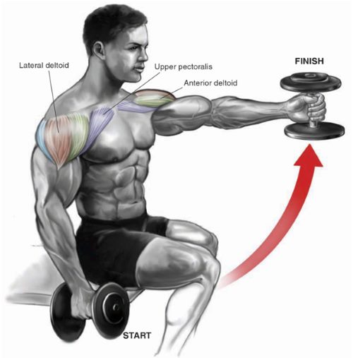 30 Minute Shoulder Workout With Dumbbells Pictures for Push Pull Legs