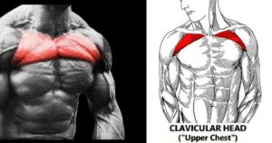 5 Exercises To Build The Upper Chest