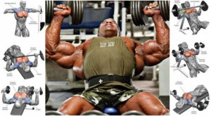 5 Types of Supersets To Increase Size And Definition