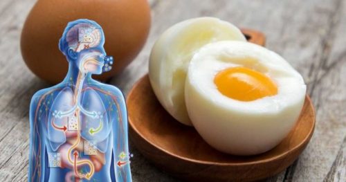 Why Eggs Are a Killer Fat Loss Food