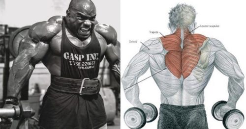 The 4 Best Traps Exercises