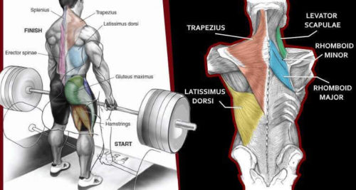 4 Things You Should Never Do On Back Day !
